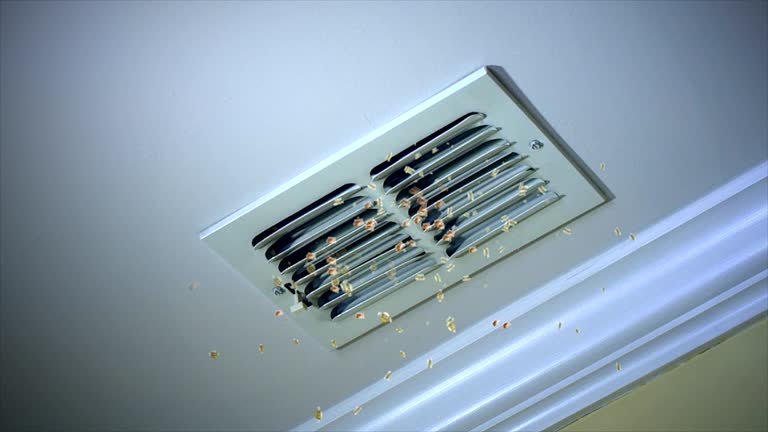 Best Commercial HVAC Duct Cleaning  in Little River Academy, TX