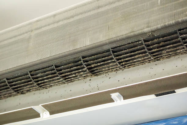 Best Ventilation Cleaning Services  in Little River Academy, TX